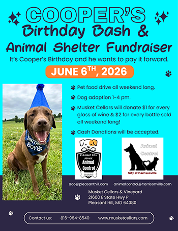 Flyer about Cooper's Birthday Bash.